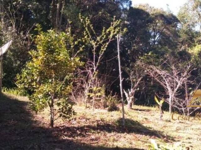 #RA0001 - Rancho para Venda em Campos do Jordão - SP - 3