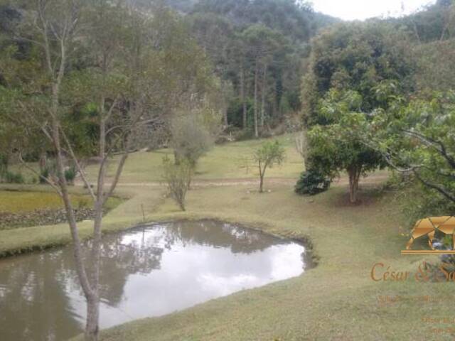 #CH0012 - Chácara para Venda em Campos do Jordão - SP - 1