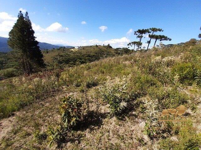 Terreno para Venda em Campos do Jordão - 4