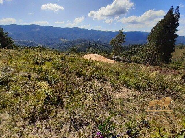 Terreno para Venda em Campos do Jordão - 5