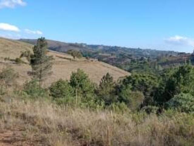 Terreno para Venda em Campos do Jordão - 1