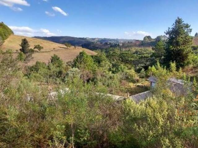 Terreno para Venda em Campos do Jordão - 4