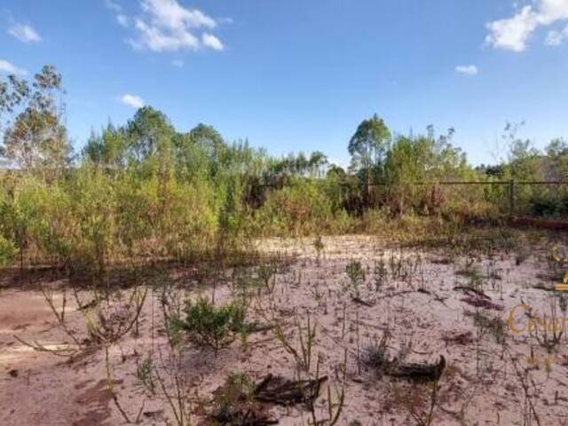 #TE0098 - Terreno para Venda em Campos do Jordão - SP - 3