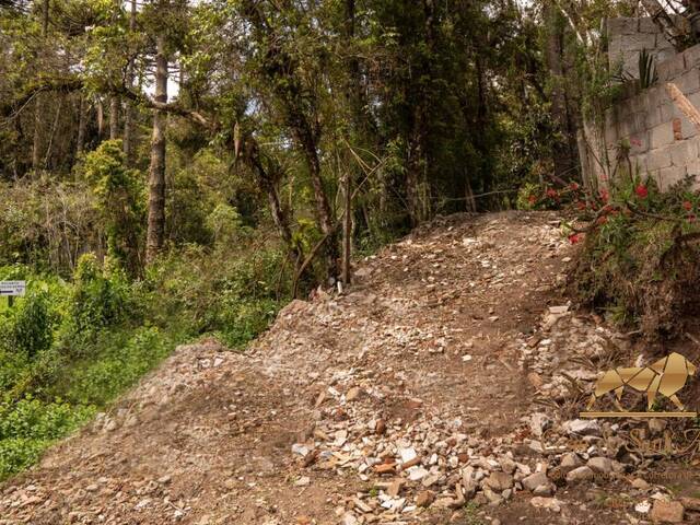 #455 - Terreno para Venda em Campos do Jordão - SP - 2