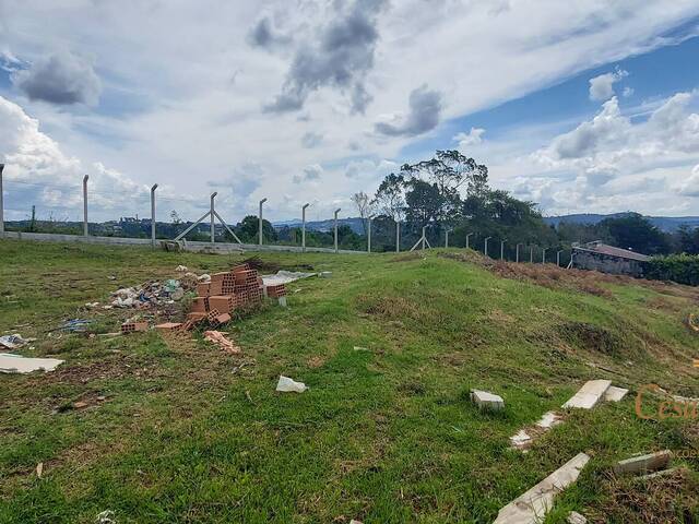 #463 - Terreno para Venda em Campos do Jordão - SP - 2