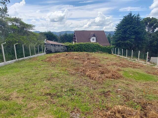 #463 - Terreno para Venda em Campos do Jordão - SP - 1