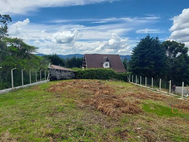 Terreno para Venda em Campos do Jordão - 4