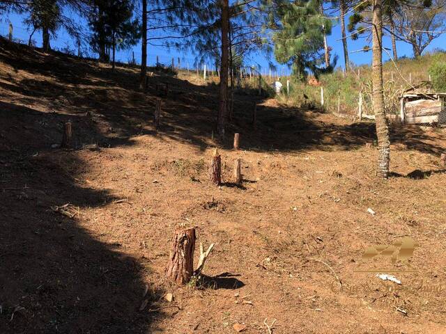 Terreno para Venda em Campos do Jordão - 5