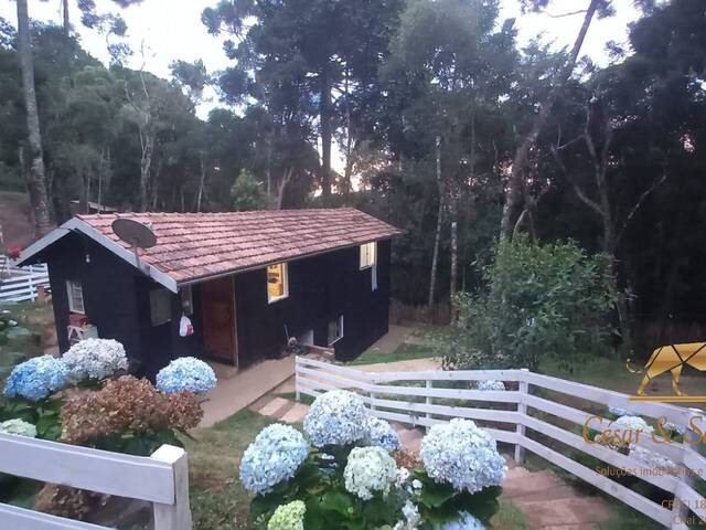 #478 - Casa para Venda em Campos do Jordão - SP - 1