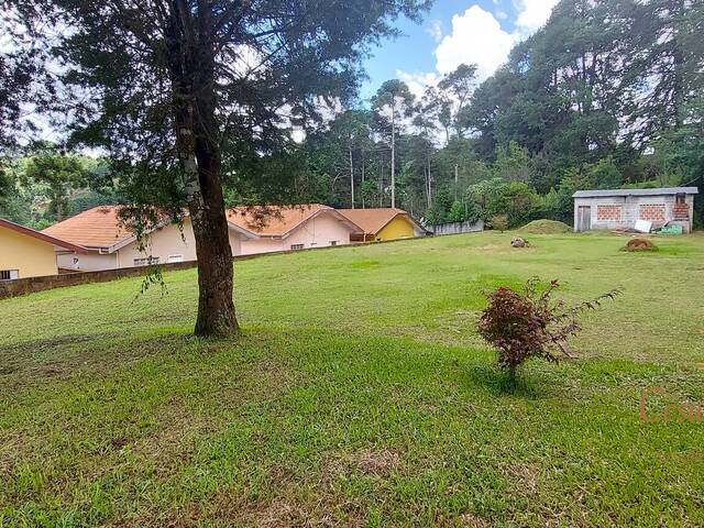 #498 - Terreno para Venda em Campos do Jordão - SP - 2