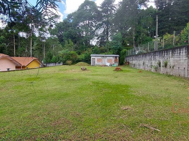 #498 - Terreno para Venda em Campos do Jordão - SP - 3