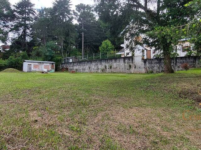 Terreno para Venda em Campos do Jordão - 4