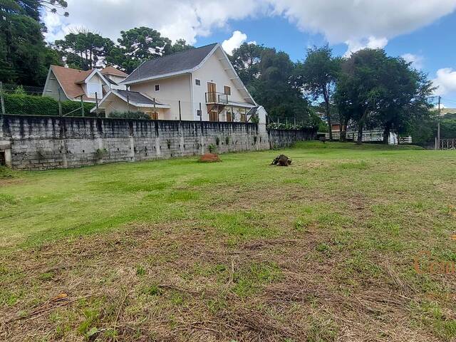 Terreno para Venda em Campos do Jordão - 5