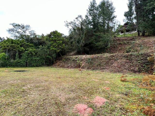 Área para Venda em Campos do Jordão - 5