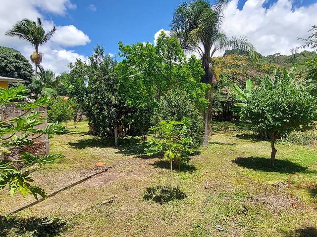 #510 - Terreno para Venda em São Bento do Sapucaí - SP - 3