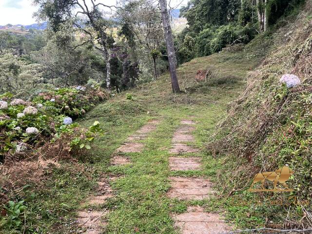 Terreno para Venda em Campos do Jordão - 3