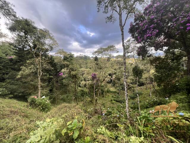 Terreno para Venda em Campos do Jordão - 4