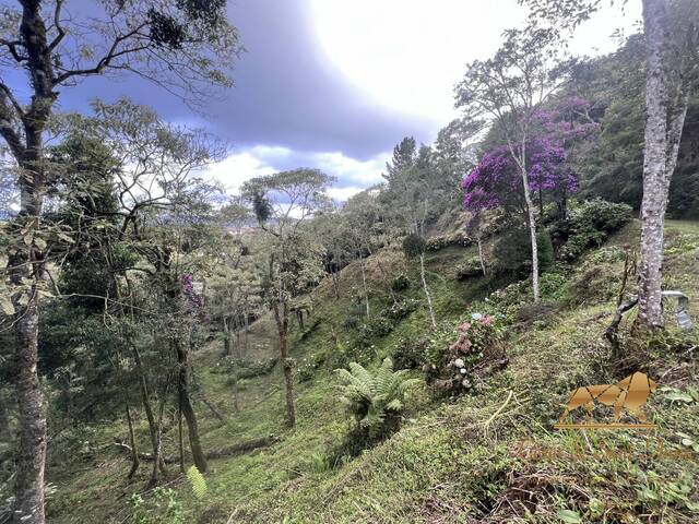 Terreno para Venda em Campos do Jordão - 5