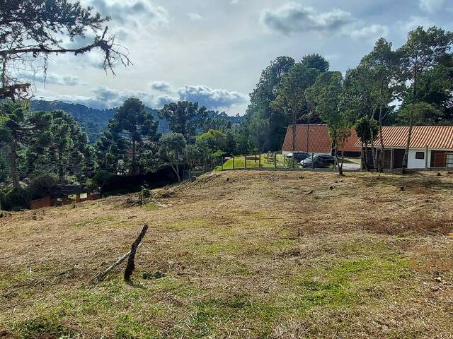 #531 - Terreno para Venda em Campos do Jordão - SP - 2