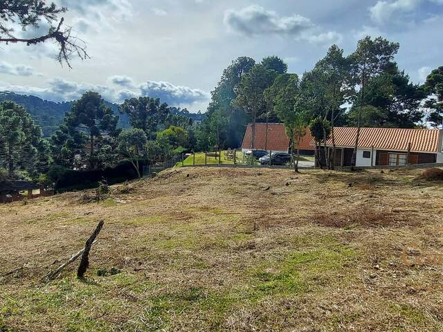 Terreno para Venda em Campos do Jordão - 3