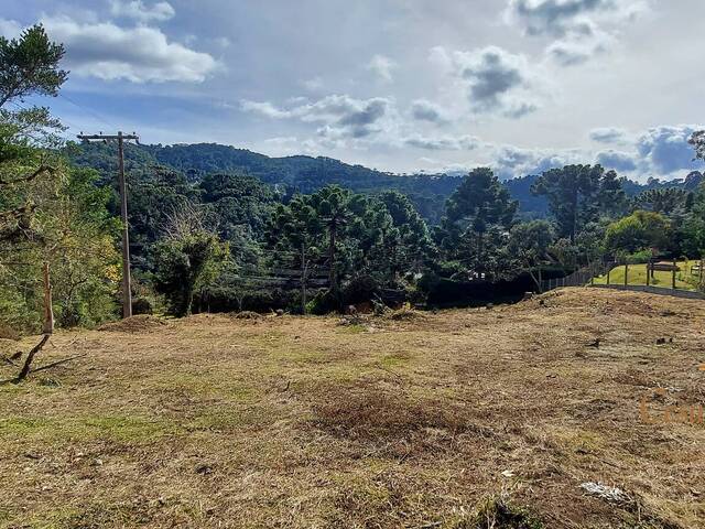 Terreno para Venda em Campos do Jordão - 1