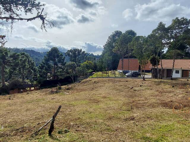 Terreno para Venda em Campos do Jordão - 4