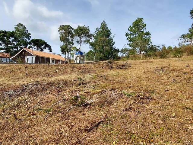 Terreno para Venda em Campos do Jordão - 5