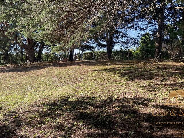 Terreno para Venda em Campos do Jordão - 5