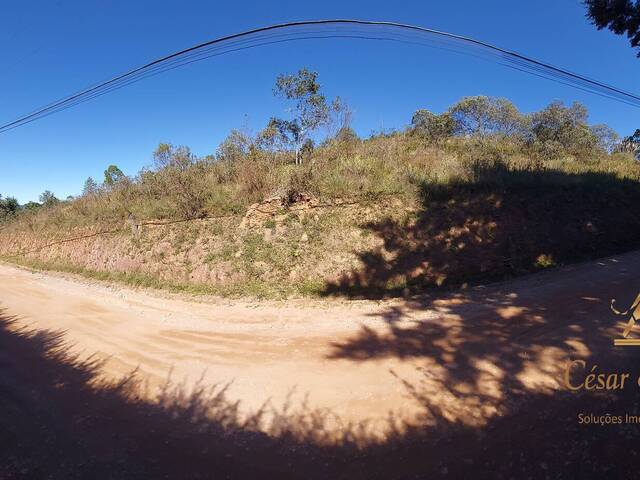 #521 - Terreno para Venda em Campos do Jordão - SP - 1