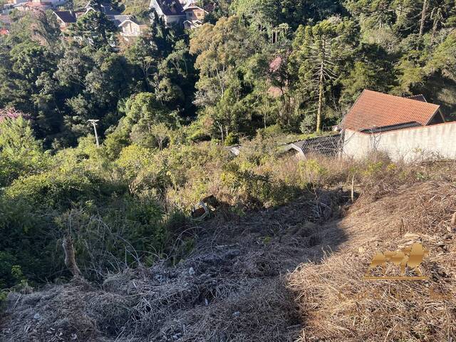 Terreno para Venda em Campos do Jordão - 4