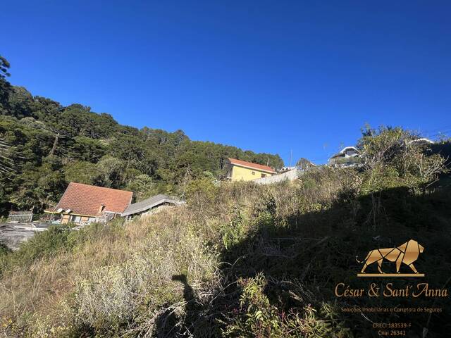 Terreno para Venda em Campos do Jordão - 5