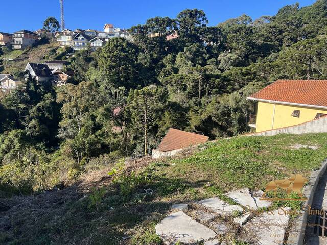 #542 - Terreno para Venda em Campos do Jordão - SP - 3