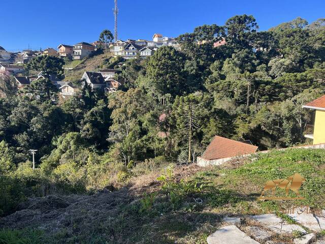 Terreno para Venda em Campos do Jordão - 1