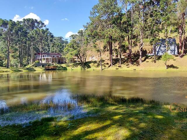 #549 - Chácara para Venda em Campos do Jordão - SP - 1