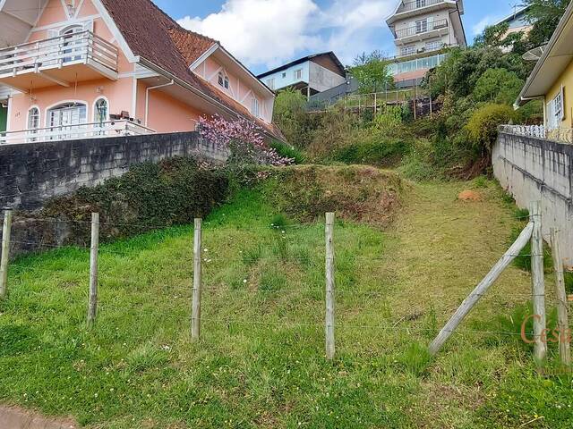 #557 - Terreno para Venda em Campos do Jordão - SP - 2