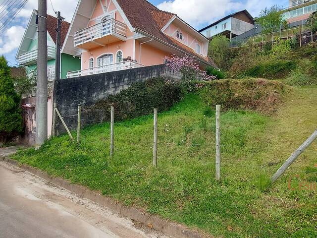 #557 - Terreno para Venda em Campos do Jordão - SP - 3