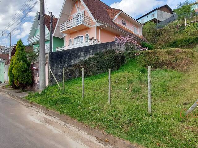 Terreno para Venda em Campos do Jordão - 4