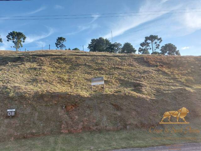 #565 - Terreno em condomínio para Venda em Campos do Jordão - SP - 1