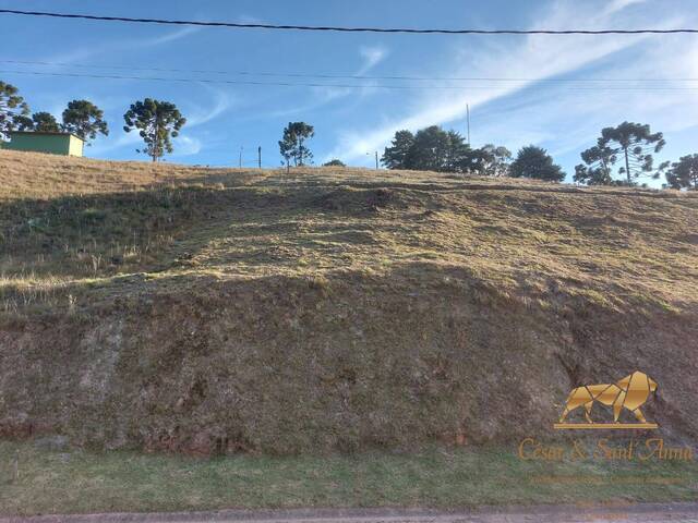 #565 - Terreno em condomínio para Venda em Campos do Jordão - SP - 2