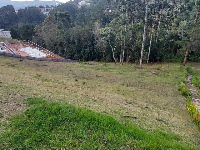 #568 - Terreno em condomínio para Venda em Campos do Jordão - SP - 2