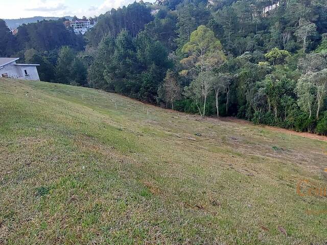 #568 - Terreno em condomínio para Venda em Campos do Jordão - SP - 1