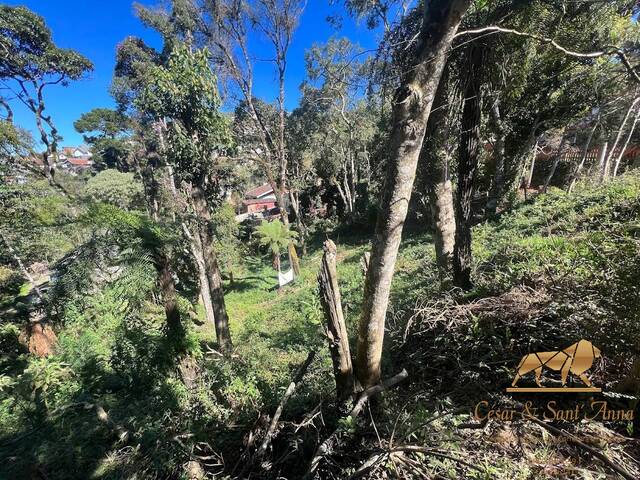 Terreno para Venda em Campos do Jordão - 2