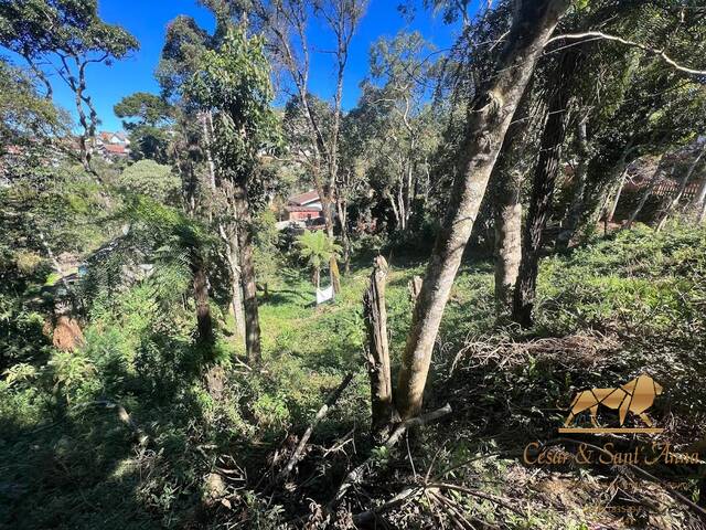 Terreno para Venda em Campos do Jordão - 3