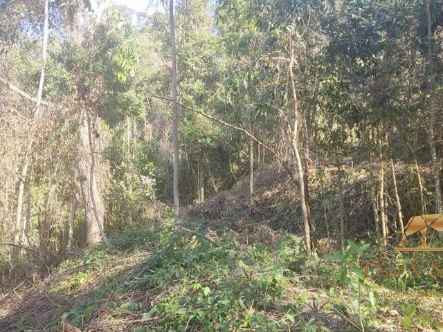 #574 - Terreno para Venda em Campos do Jordão - SP - 2