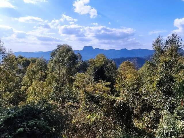 #574 - Terreno para Venda em Campos do Jordão - SP - 1