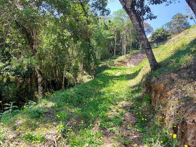 Terreno para Venda em Campos do Jordão - 2