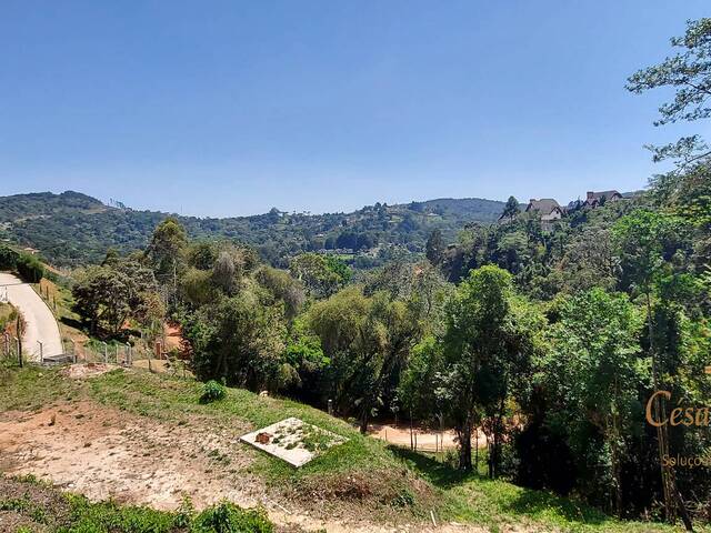 Terreno para Venda em Campos do Jordão - 4