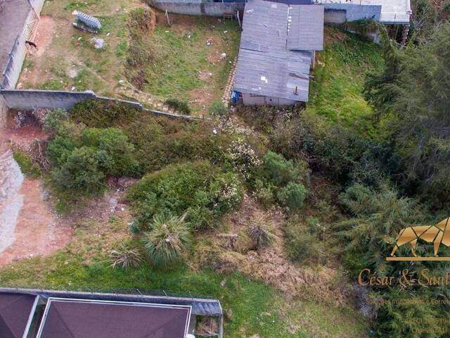 #582 - Terreno para Venda em Campos do Jordão - SP - 2