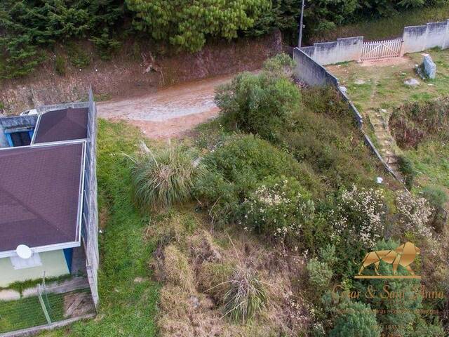 #582 - Terreno para Venda em Campos do Jordão - SP - 3