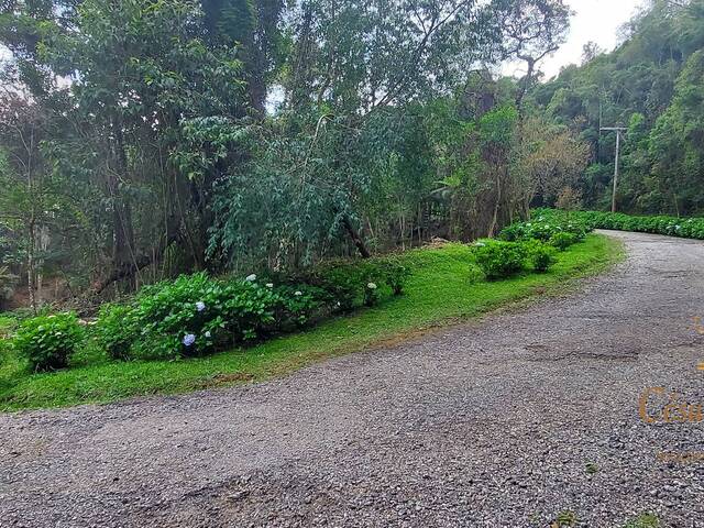 #591 - Terreno para Venda em Campos do Jordão - SP - 1